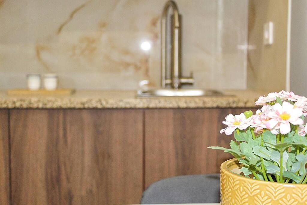 Oporto Sweet Downtown 4 Apartment Ngoại thất bức ảnh